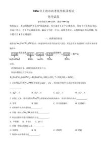 2026年高考化學真題（上海卷）原卷版