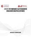 2025年中國海灘行業市場前景預測及投資價值評估分析報告