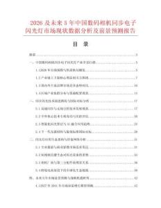 2026及未來5年中國數碼相機同步電子閃光燈市場現狀數據分析及前景預測報告