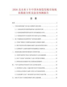2026及未來5年中國木制卷發梳市場現狀數據分析及前景預測報告