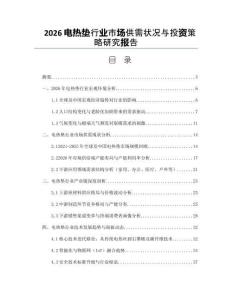 2026电热垫行业市场供需状况与投资策略研究报告