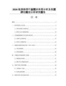 2026能源勘探行業(yè)現(xiàn)狀供需分析及投資評(píng)估規(guī)劃分析研究報(bào)告