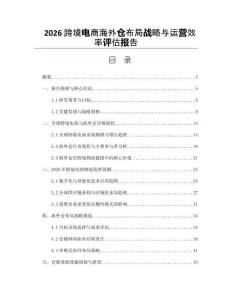 2026跨境電商海外倉(cāng)布局戰(zhàn)略與運(yùn)營(yíng)效率評(píng)估報(bào)告