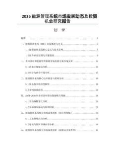 2026能源管理系統市場發展動態及投資機會研究報告