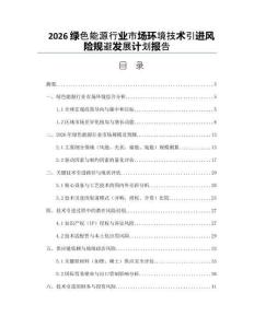 2026綠色能源行業市場環境技術引進風險規避發展計劃報告