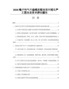 2026電子特氣行業純度標準提升對生產工藝改造要求評估報告