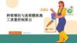 桥梁墩柱与盖梁模板施工质量控制要点