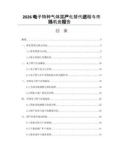 2026電子特種氣體國產(chǎn)化替代進(jìn)程與市場機(jī)會(huì)報(bào)告