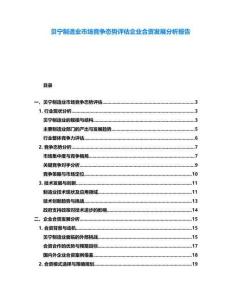 贝宁制造业市场竞争态势评估企业合资发展分析报告