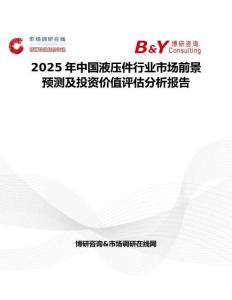 2025年中國液壓件行業市場前景預測及投資價值評估分析報告