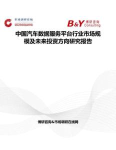 中國汽車數據服務平臺行業市場規模及未來投資方向研究報告