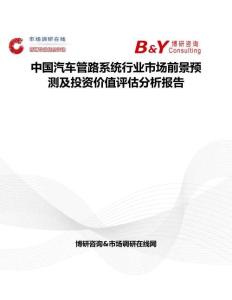 中國汽車管路系統行業市場前景預測及投資價值評估分析報告