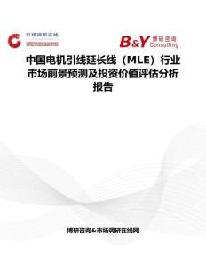 中國電機引線延長線（MLE）行業市場前景預測及投資價值評估分析報告