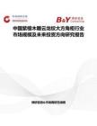 中國紫檀木雕云龍紋大方角柜行業市場規模及未來投資方向研究報告