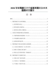 2026智能駕駛芯片行業(yè)發(fā)展現(xiàn)狀及未來趨勢研究報告