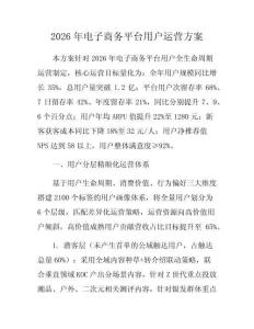 2026年电子商务平台用户运营方案