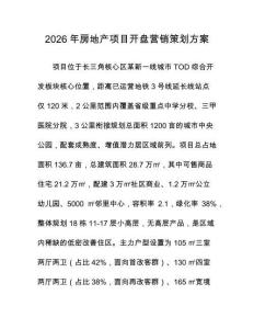2026年房地产项目开盘营销策划方案