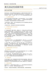 美元流動性觀察手冊-美元分析專題