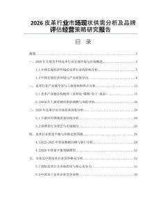 2026皮革行業市場現狀供需分析及品牌評估經營策略研究報告