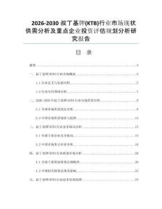 2026-2030叔丁基钾(KTB)行业市场现状供需分析及重点企业投资评估规划分析研究报告