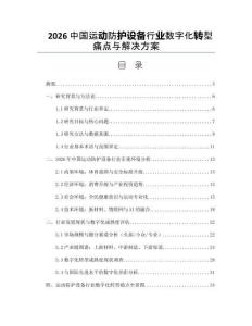 2026中國運動防護設備行業數字化轉型痛點與解決方案
