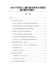 2026中国煤化工废水处理膜集成系统投资回报周期测算