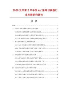 2026及未来5年中国AV矩阵切换器行业发展研究报告
