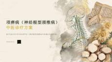 项痹病（神经根型颈椎病）中医诊疗方案