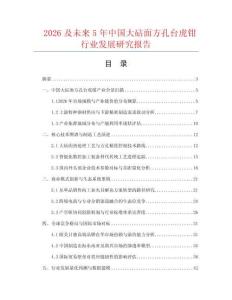 2026及未来5年中国大砧面方孔台虎钳行业发展研究报告