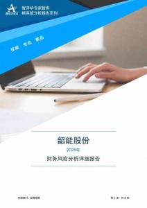 000601韶能股份2025年財(cái)務(wù)風(fēng)險(xiǎn)分析詳細(xì)報(bào)告