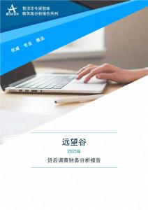 002161遠望谷2025年貸前盡職調查財務分析報告
