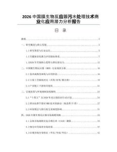 2026中國膜生物反應器污水處理技術(shù)商業(yè)化應用潛力分析報告
