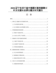 2026辽宁能源行业市场现状发展趋势分析及投资收益评估规划研究报告