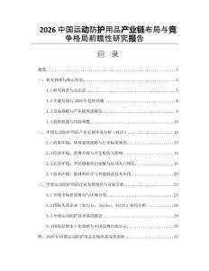 2026中国运动防护用品产业链布局与竞争格局前瞻性研究报告