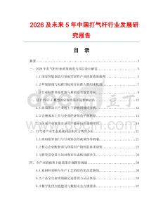 2026及未来5年中国打气杆行业发展研究报告