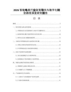 2026智能电表行业政策导向与数字化转型路径深度研究报告