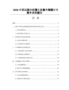 2026中国运动功能强化装备市场细分与竞争策略报告