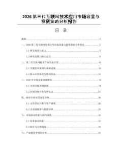 2026第三代互联网技术应用市场容量与投资策略分析报告