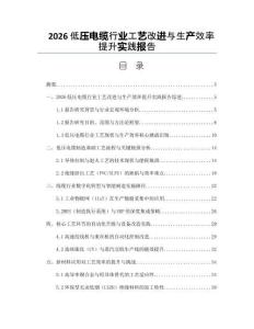 2026低压电缆行业工艺改进与生产效率提升实践报告