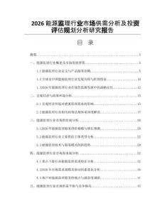 2026能源监理行业市场供需分析及投资评估规划分析研究报告