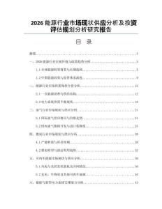 2026能源行业市场现状供应分析及投资评估规划分析研究报告
