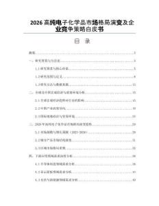 2026高纯电子化学品市场格局演变及企业竞争策略白皮书