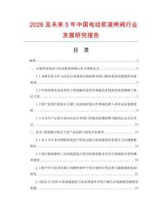 2026及未来5年中国电动浆液闸阀行业发展研究报告