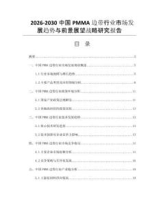 2026-2030中国PMMA边带行业市场发展趋势与前景展望战略研究报告