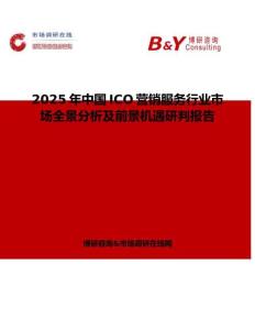 2025年中国ICO营销服务行业市场全景分析及前景机遇研判报告