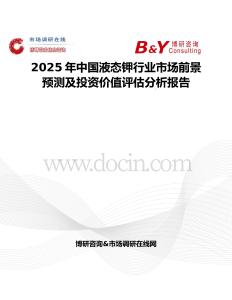2025年中国液态钾行业市场前景预测及投资价值评估分析报告