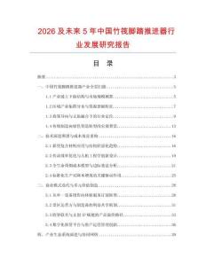 2026及未来5年中国竹筏脚踏推进器行业发展研究报告