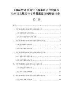 2026-2030中国肾上腺素自动注射器行业市场发展趋势与前景展望战略研究报告