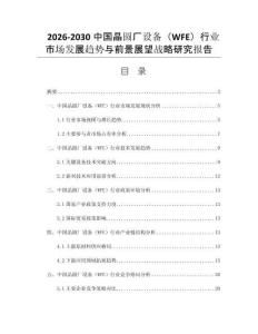 2026-2030中国晶圆厂设备（WFE）行业市场发展趋势与前景展望战略研究报告