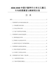 2026-2030中国弹簧秤行业市场发展趋势与前景展望战略研究报告